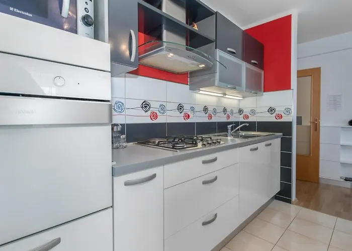 Dario 诺维·维诺多尔斯基