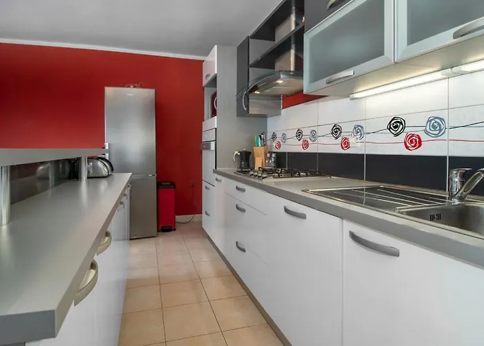 Dario * 诺维·维诺多尔斯基