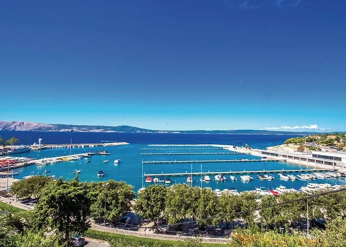 Dario 诺维·维诺多尔斯基